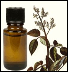 Pimento Leaf Essential Oil